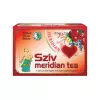 DR.CHEN TEA SZÍV MERIDIAN 20DB